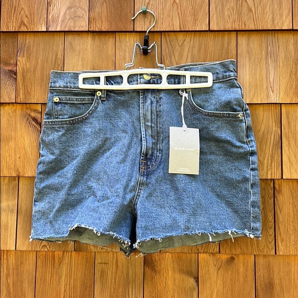 Everlane Denim Shorts